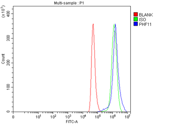 Anti-PHF11 Antibody