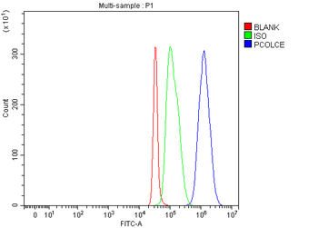 PCOLCE Rabbit Polyclonal Antibody
