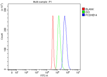 PCDHB14 Rabbit Polyclonal Antibody