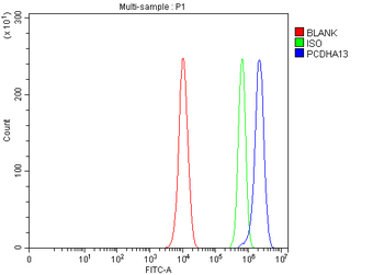 PCDHA13 Rabbit Polyclonal Antibody