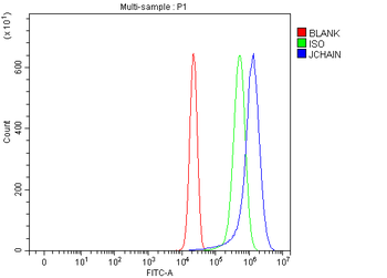 Anti-JCHAIN Antibody
