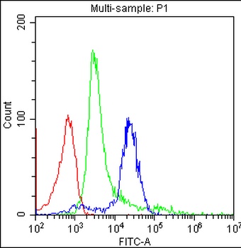 CD8 Cd8A Mouse Monoclonal Antibody