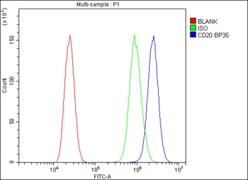 Anti-CD20/MS4A1 Antibody