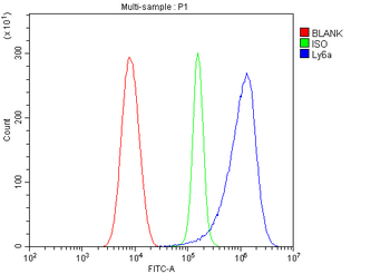 Sca1/Ly6A/E Rabbit Polyclonal Antibody