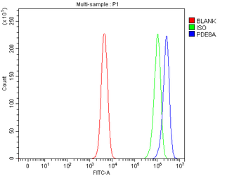 PDE8A Rabbit Polyclonal Antibody