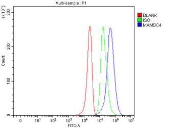 MAMDC4 Antibody