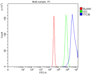 TTC36 Rabbit Polyclonal Antibody