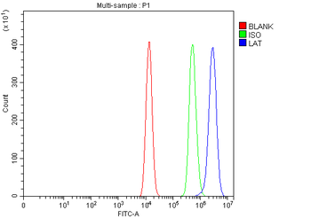 LAT Rabbit Polyclonal Antibody