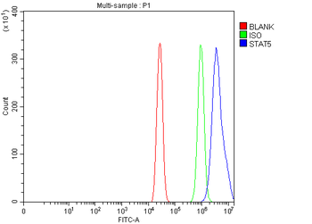 STAT5A/B Rabbit Polyclonal Antibody