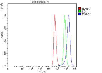 STAM2 Antibody