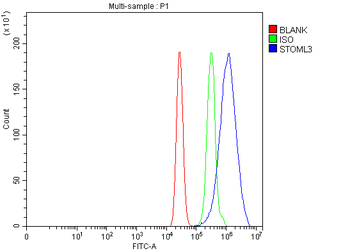 STOML3 Antibody