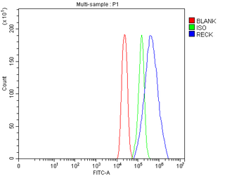 RECK Rabbit Polyclonal Antibody