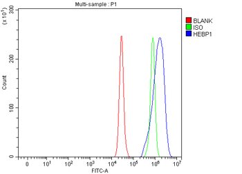 HEBP1 Antibody
