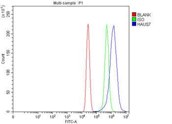UCHL5IP/HAUS7 Antibody