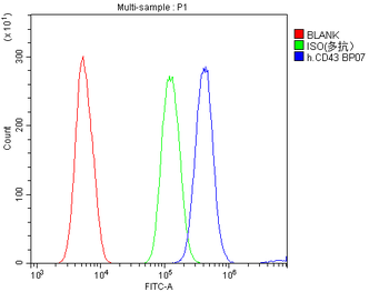 Anti-CD43/SPN Antibody
