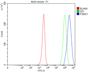 PSMC1 Antibody