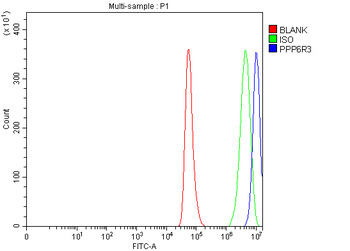 SAPS3/PPP6R3 Antibody