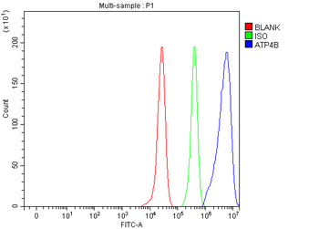 ATP4B Antibody