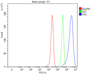Fibronectin/FN1 Rabbit Polyclonal Antibody