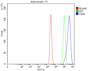 Anti-CD44 Antibody