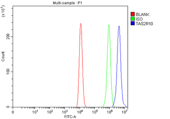 TAS2R10 Rabbit Polyclonal Antibody