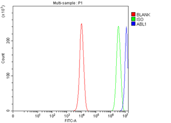 ABL1 Antibody