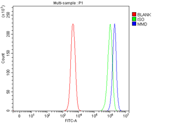 MMD Antibody
