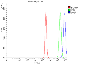 LUZP1 Rabbit Polyclonal Antibody