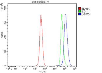 LMNTD1 Antibody