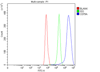 Anti-CD79a Antibody