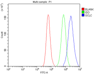 GCLC Rabbit Polyclonal Antibody