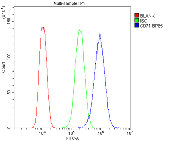 Anti-Transferrin Receptor/TFRC Antibody