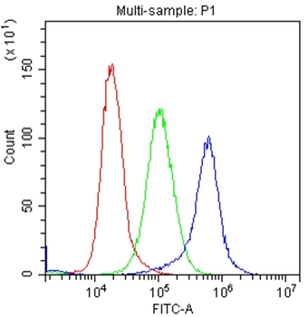 c-Kit Antibody