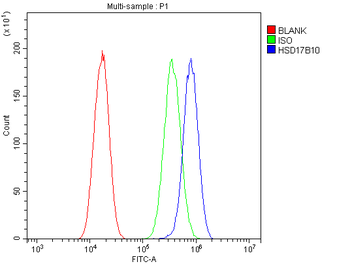 Anti-ERAB/HSD17B10 Antibody