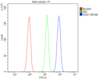 Anti-Superoxide Dismutase 1/SOD1 Antibody