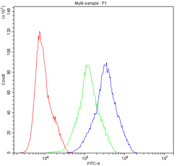 Anti-ARSA Antibody
