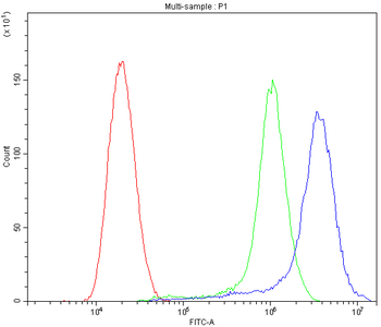Anti-ATG14L Antibody