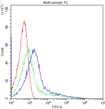Anti-Cytochrome P450 1A1/CYP1A1 Antibody