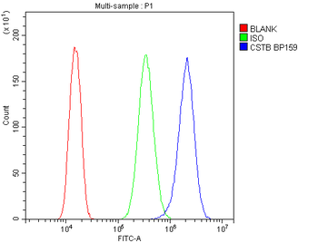 Anti-Stefin B/CSTB Antibody
