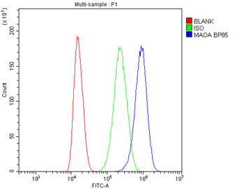 Anti-Monoamine Oxidase A/MAOA Antibody