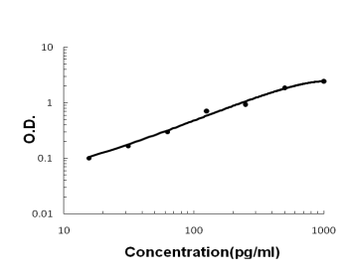 Anti-Tissue Factor/F3 Antibody