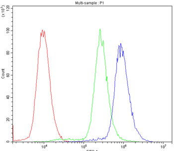 Cytochrome P450 Reductase/POR Antibody