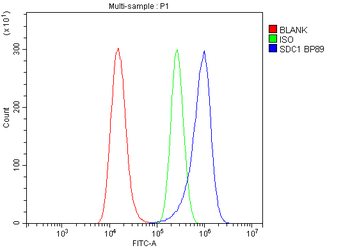 Syndecan-1/SDC1 Rabbit Polyclonal Antibody