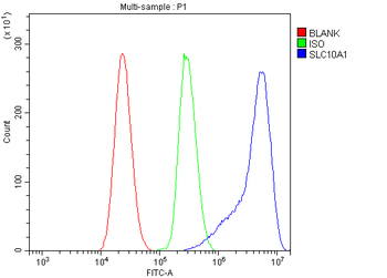 Anti-SLC10A1 Antibody