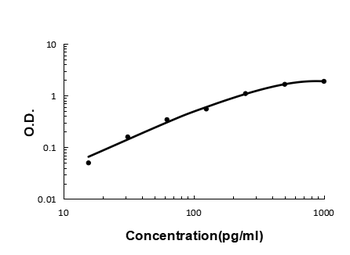 Anti-Prealbumin/TTR Antibody