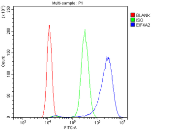 eIF4A2 Antibody