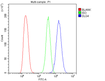 PSD95/DLG4 Rabbit Polyclonal Antibody