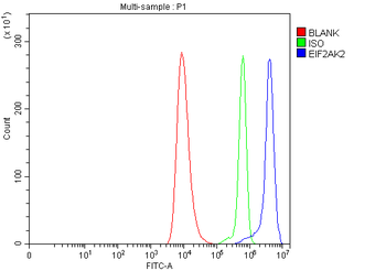 PKR/EIF2AK2 Rabbit Polyclonal Antibody