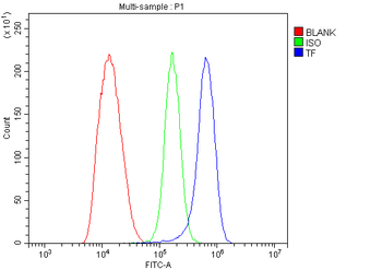 Transferrin/TF Rabbit Polyclonal Antibody
