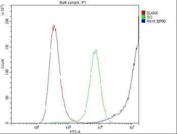Anti-Ribonuclease Inhibitor/RNH1 Antibody